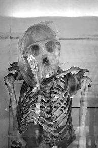 la specola 8-2017 1384